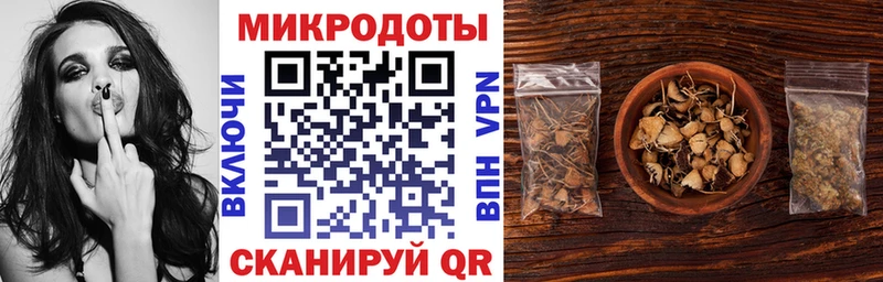 где купить   Беломорск  Псилоцибиновые грибы Magic Shrooms 